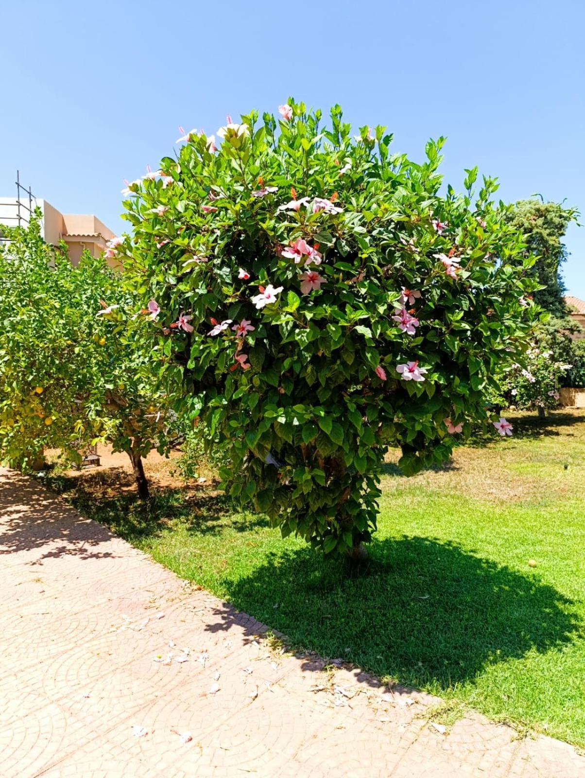 Vila Garden House Mondello Palermo Exteriér fotografie