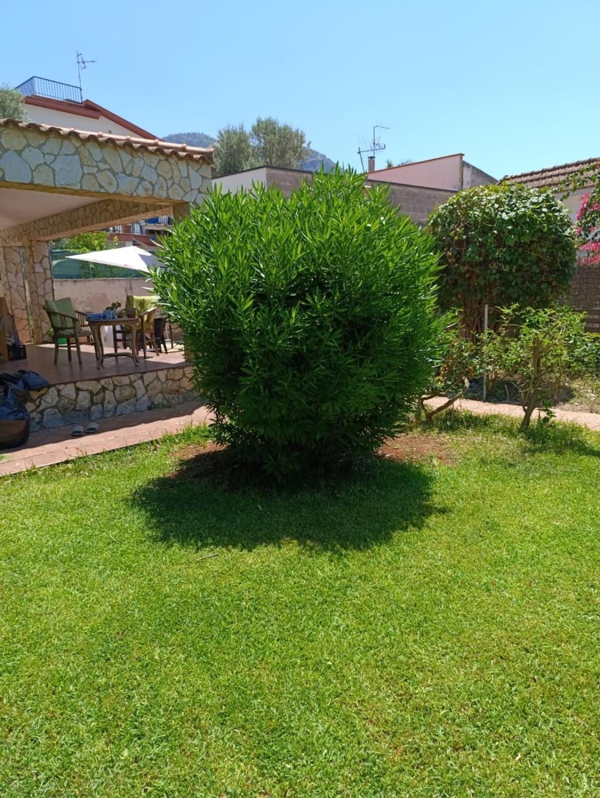 Vila Garden House Mondello Palermo Exteriér fotografie